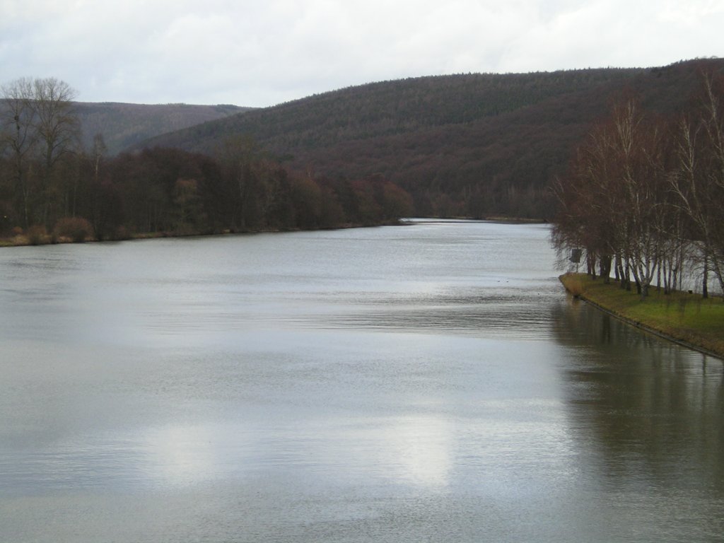 p2010358.jpg