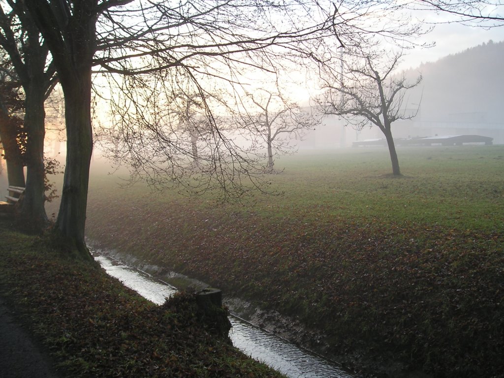 pc280273.jpg