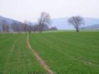 p1240339_small.jpg