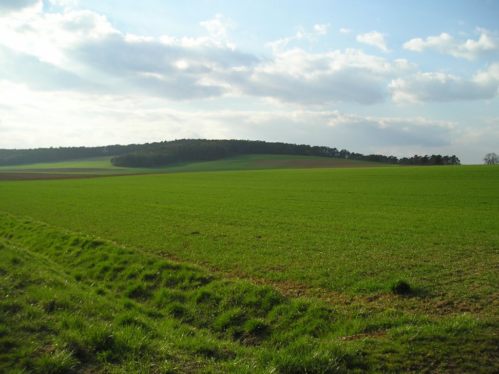 p4110570.jpg