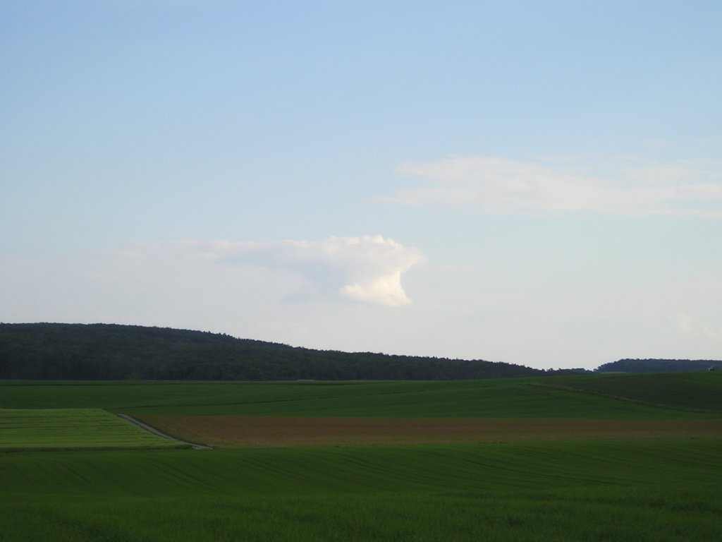 p5280745.jpg