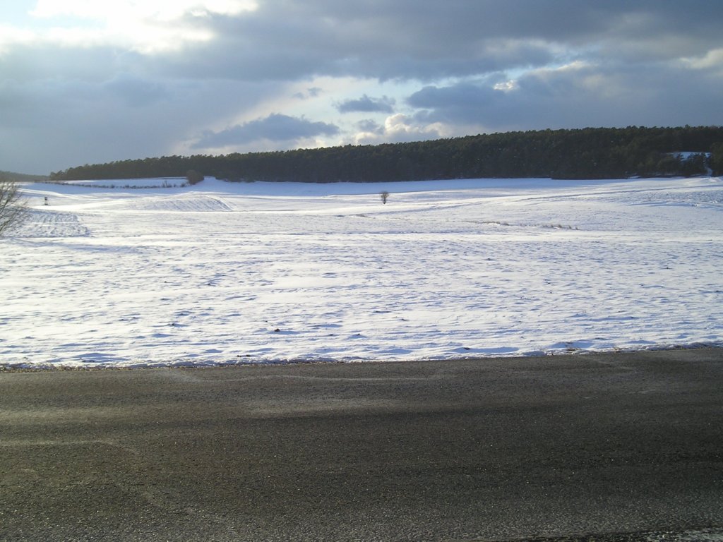 p2271005.jpg